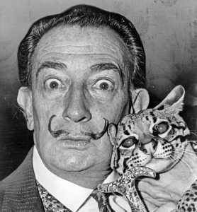 Photograph of Salvador Dali with exotic cat
