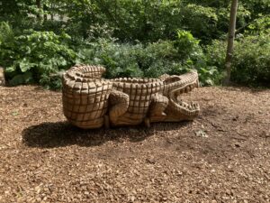 Wooden Cocodile Cambridge botanics